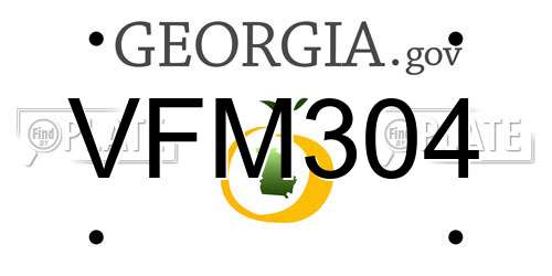 VFM304 Georgia License Plate