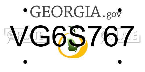 VG6S767 Georgia License Plate