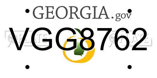 VGG8762 Georgia License Plate