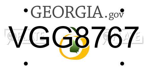 VGG8767 Georgia License Plate