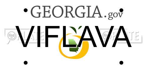 VIFLAVA Georgia License Plate