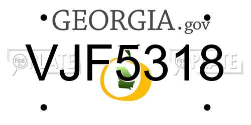 VJF5318 Georgia License Plate