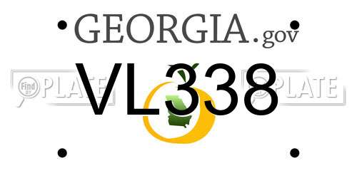 VL338 Georgia License Plate