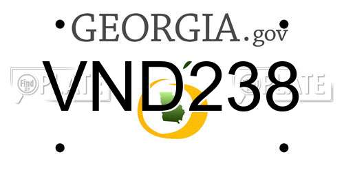 VND238 Georgia License Plate