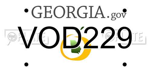 VOD229 Georgia License Plate