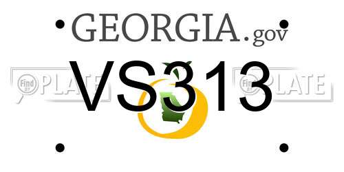 VS313 Georgia License Plate