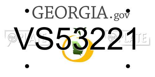 VS53221 Georgia License Plate