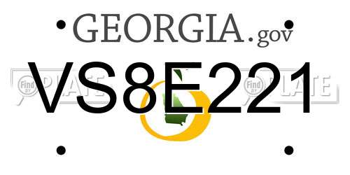 VS8E221 Georgia License Plate