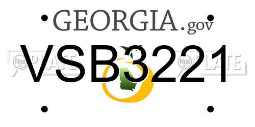 VSB3221 Georgia License Plate