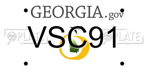VSC91 Georgia License Plate