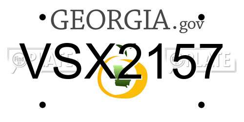VSX2157 Georgia License Plate