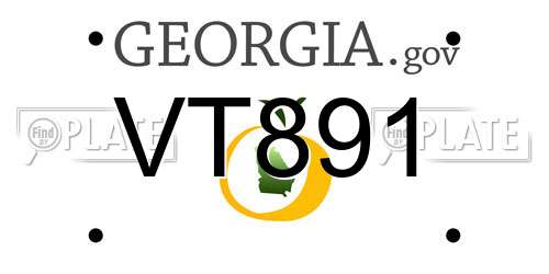 VT891 Georgia License Plate