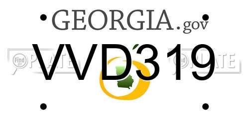 VVD319 Georgia License Plate