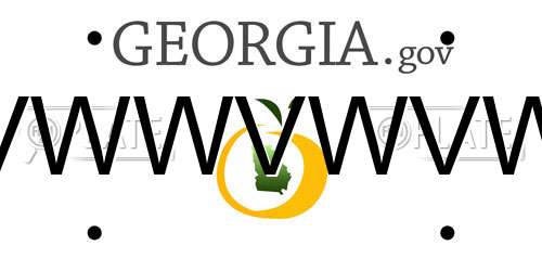 VWWVWVW Georgia License Plate