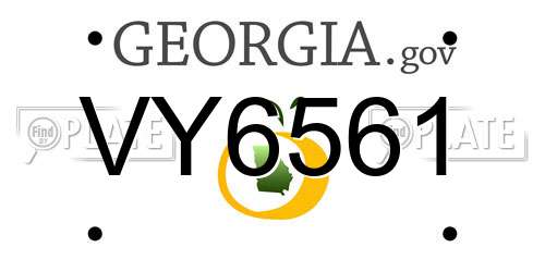 VY6561 Georgia License Plate