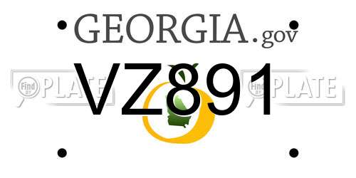 VZ891 Georgia License Plate