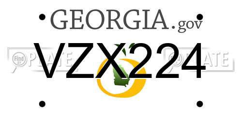 VZX224 Georgia License Plate