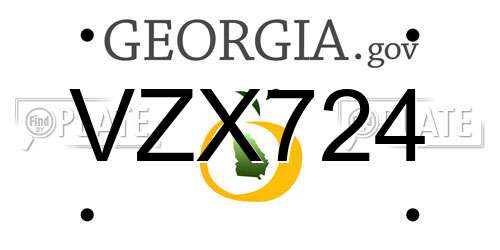 VZX724 Georgia License Plate