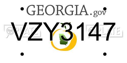 VZY3147 Georgia License Plate