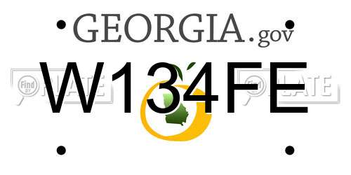 W134FE Georgia License Plate