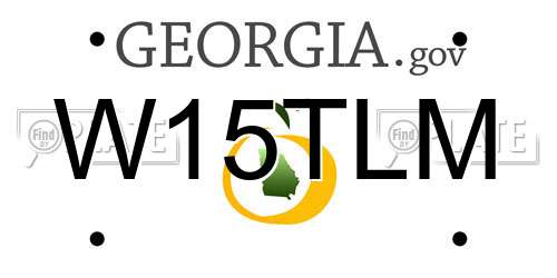 W15TLM Georgia License Plate