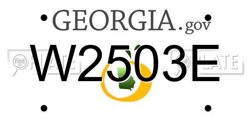 W2503E Georgia License Plate
