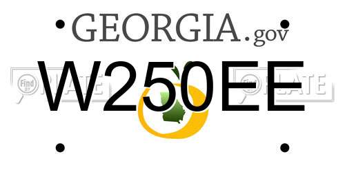 W250EE Georgia License Plate