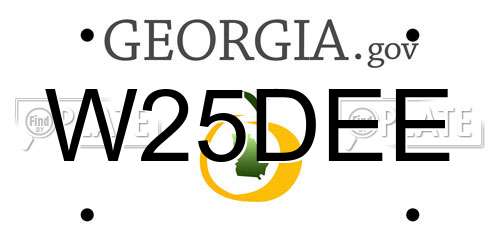 W25DEE Georgia License Plate