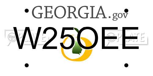 W25OEE Georgia License Plate