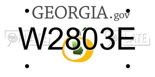 W2803E Georgia License Plate