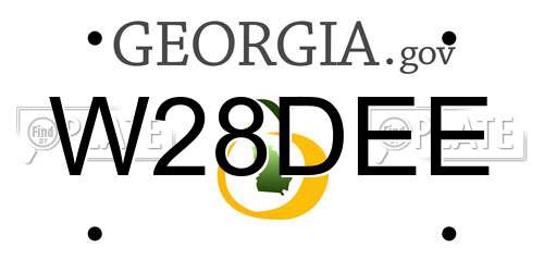 W28DEE Georgia License Plate