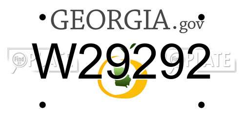 W29292 Georgia License Plate