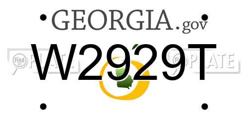 W2929T Georgia License Plate