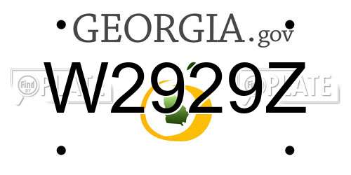 W2929Z Georgia License Plate