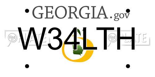 W34LTH Georgia License Plate