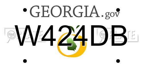 W424DB Georgia License Plate