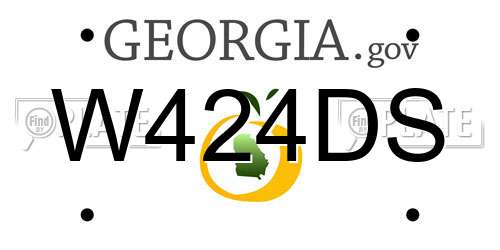 W424DS Georgia License Plate