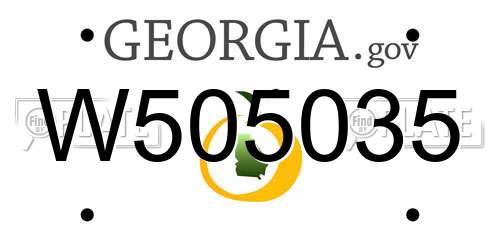 W505035 Georgia License Plate