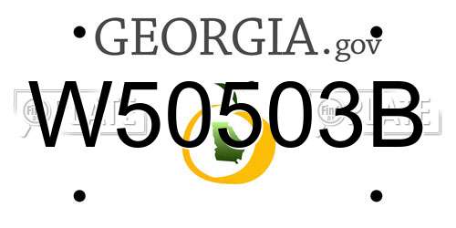 W50503B Georgia License Plate