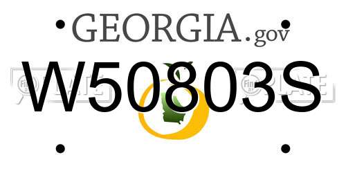W50803S Georgia License Plate