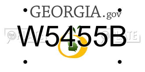 W5455B Georgia License Plate