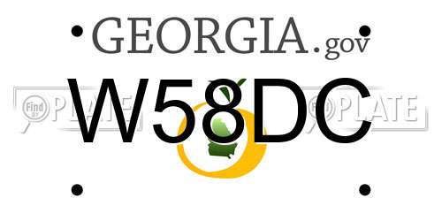 W58DC Georgia License Plate