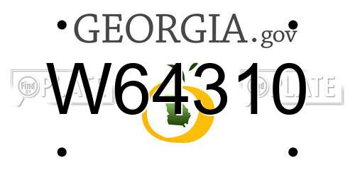 W64310 Georgia License Plate