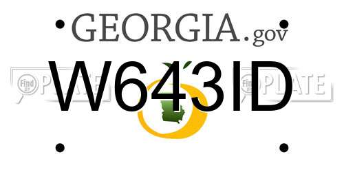 W643ID Georgia License Plate
