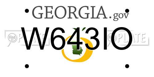 W643IO Georgia License Plate