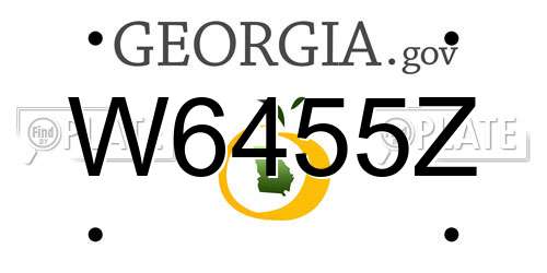 W6455Z Georgia License Plate