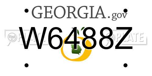 W6488Z Georgia License Plate