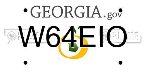 W64EIO Georgia License Plate