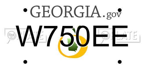 W750EE Georgia License Plate