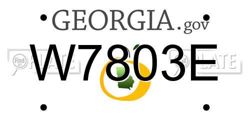 W7803E Georgia License Plate
